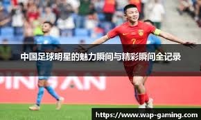 垒率