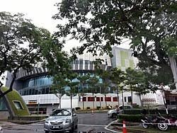 扎鸟：理解罗马球迷嘘声，为上次庆祝道歉，目标是进国家队